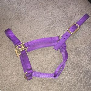 Purple Weaver Horse Halter: Horse Tack